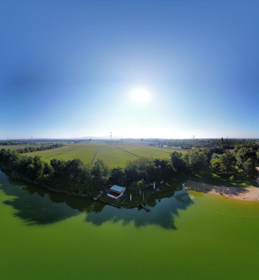 River View Near Frankfurt -- 3 Zimmer -- 4 Betten Und 1 Groesse Schlafcouch ハインブルク エクステリア 写真